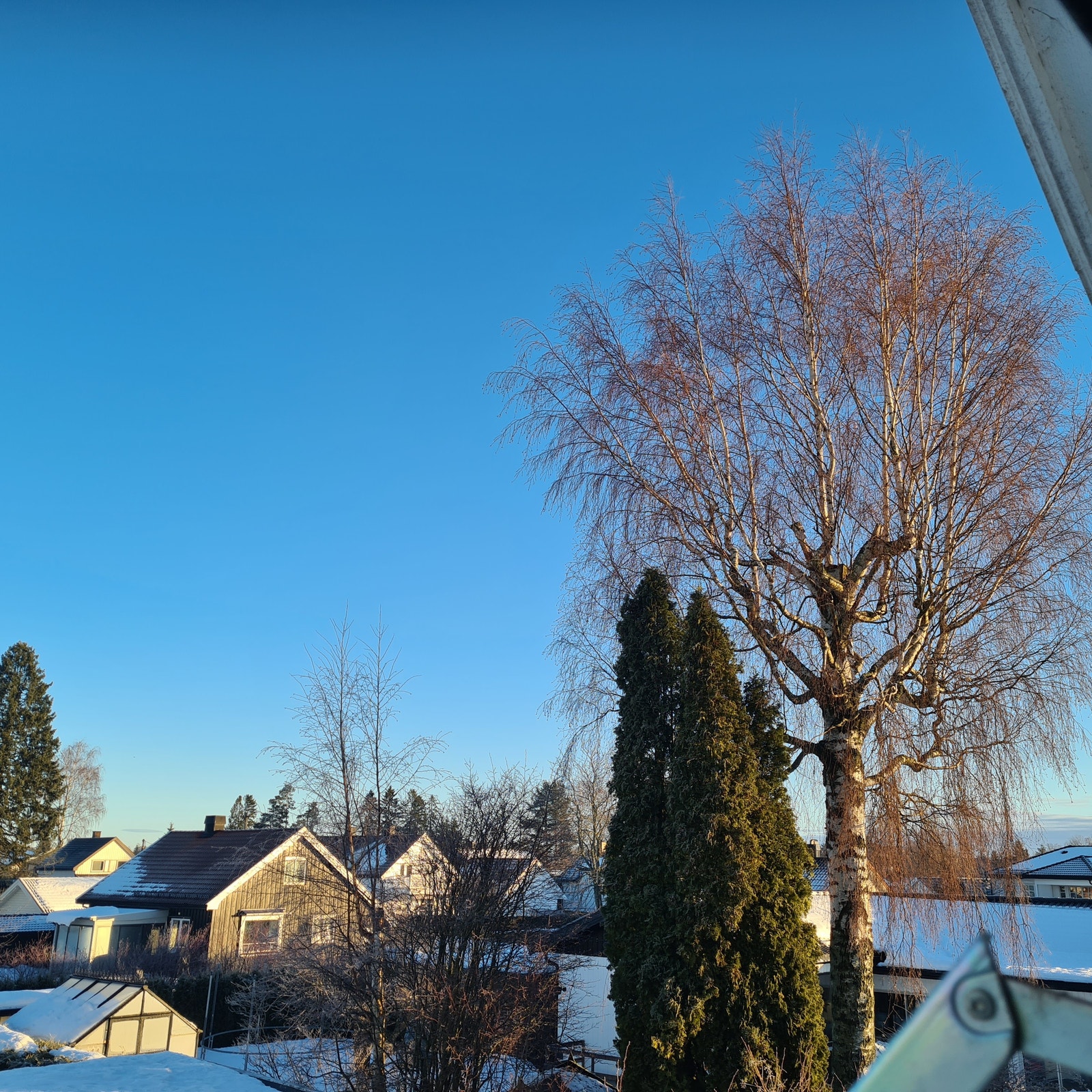 Utsikt fra det ene soverommet i 2. etsj. Galleribilde