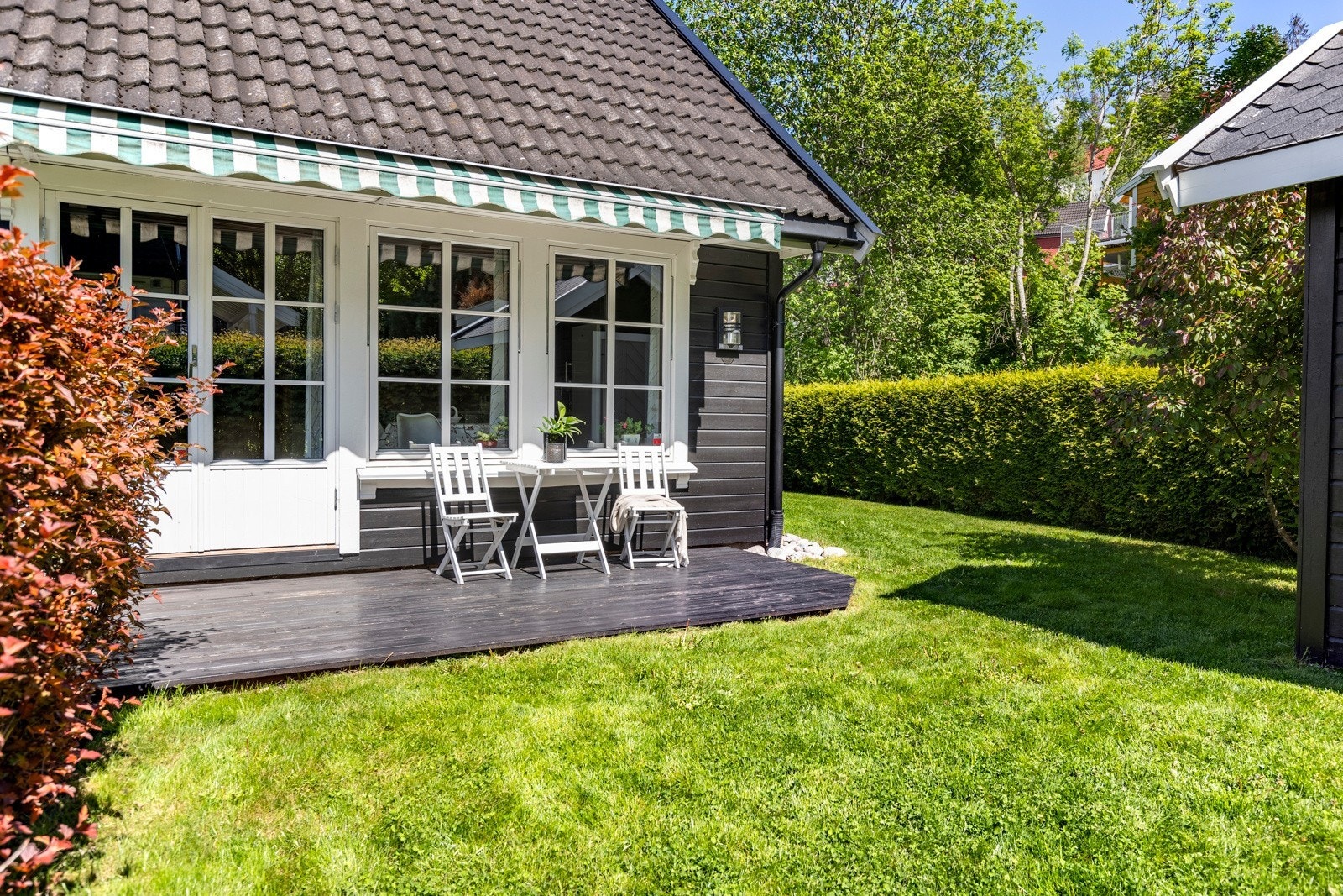 Hage/uteområde på sommerstid Galleribilde