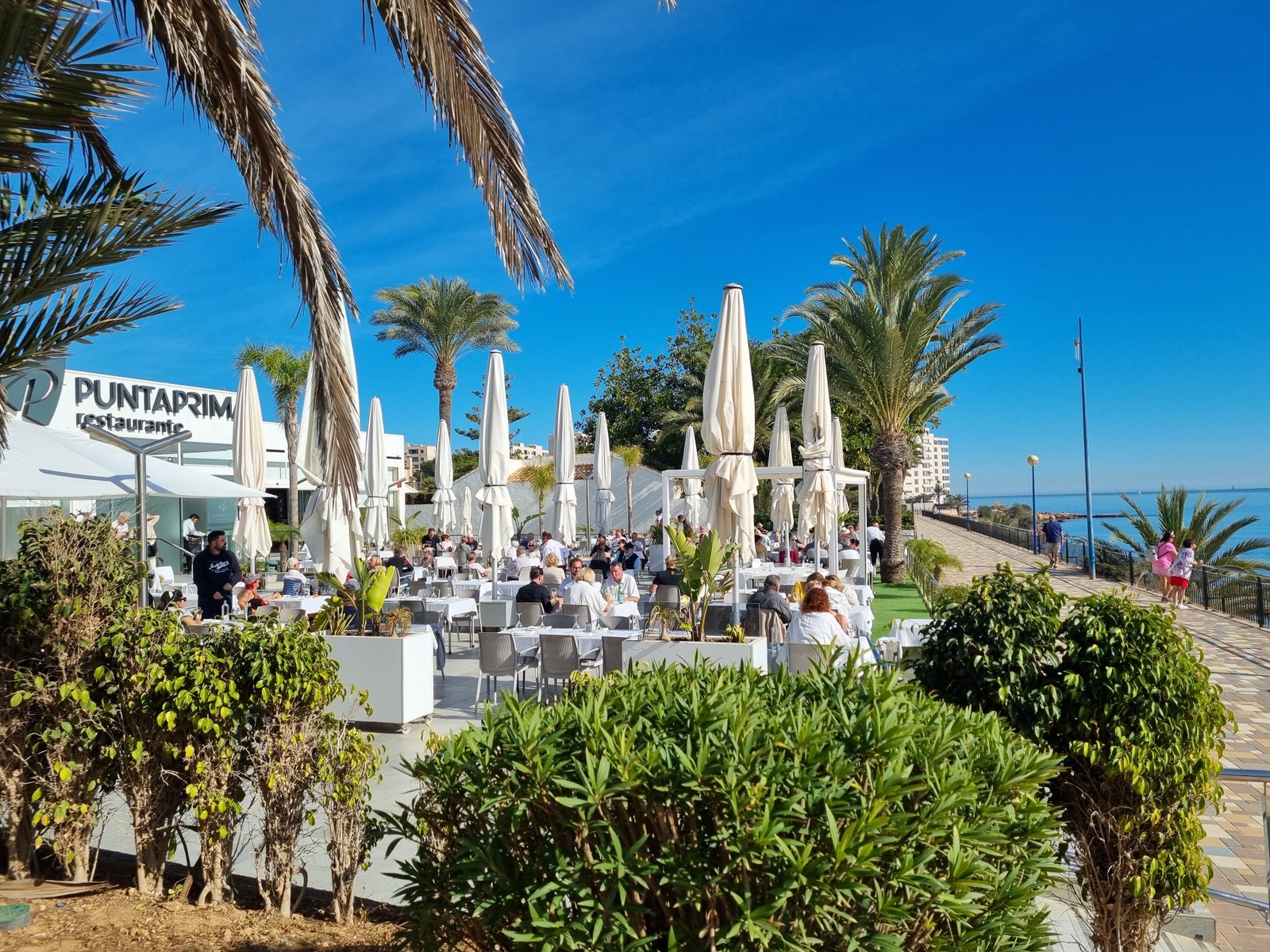 Restaurant Punta Prima Galleribilde