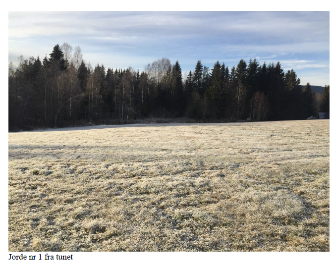 Jorde fra tunet Galleribilde