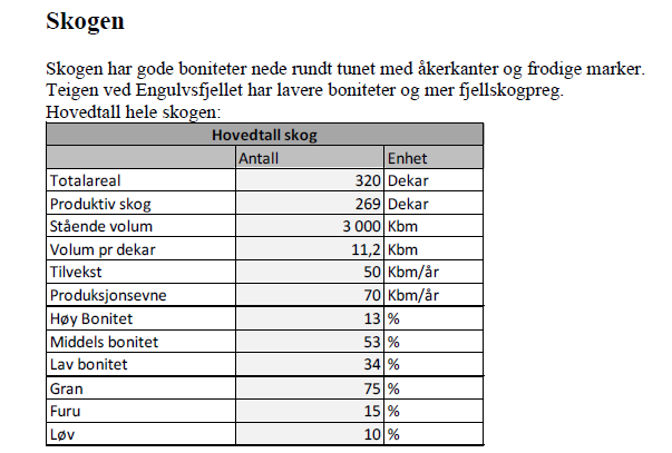 Hovedtall skog Galleribilde