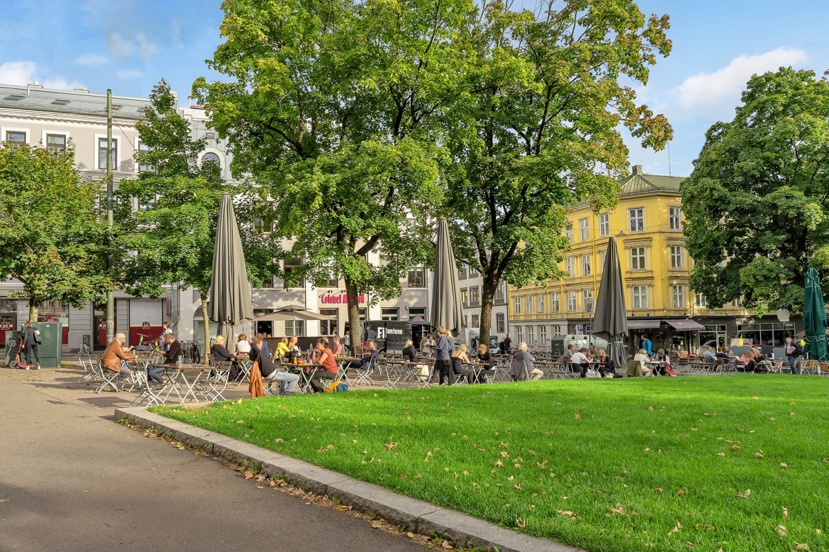 nærområdet Galleribilde