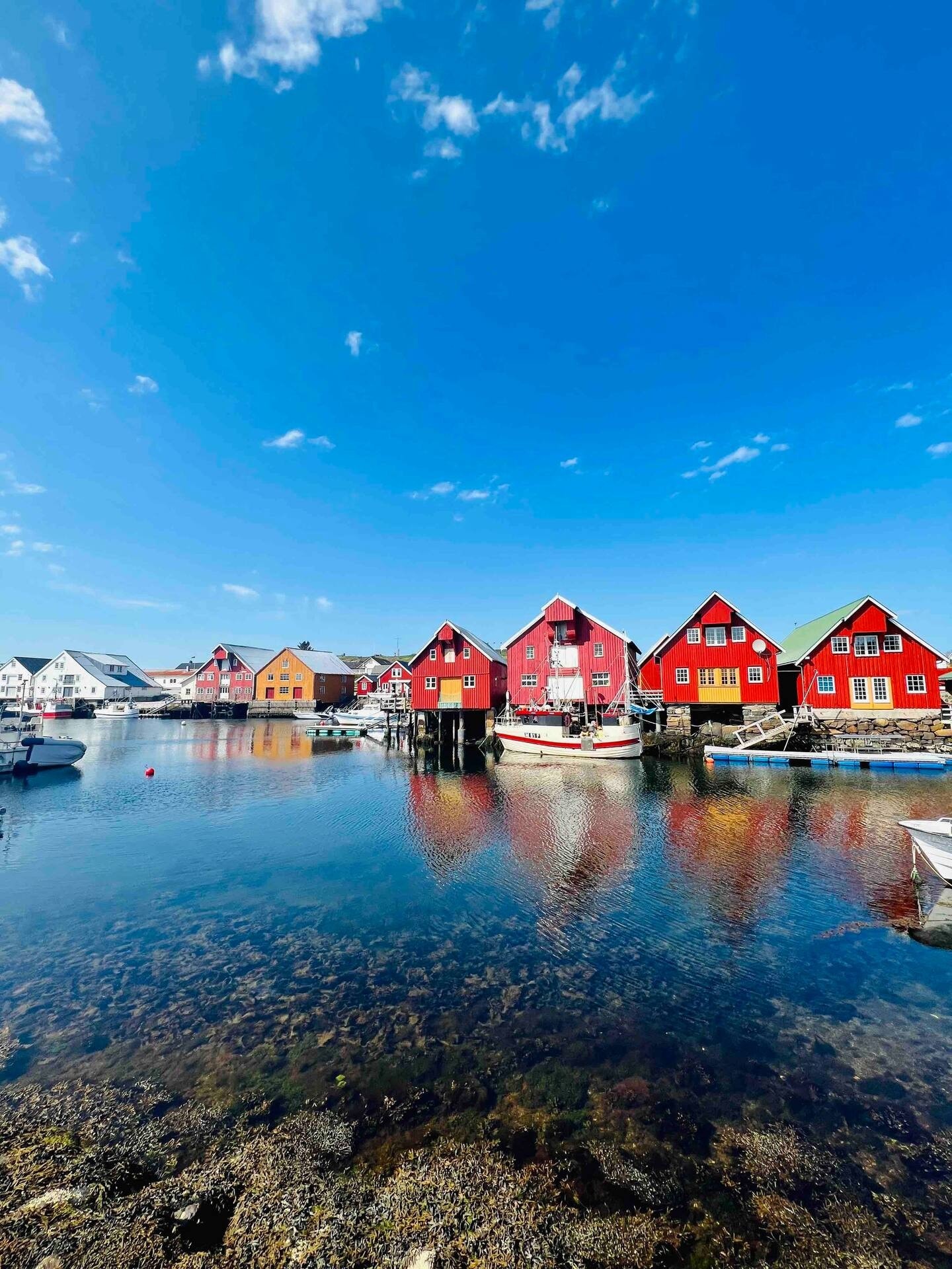 Flott område. Galleribilde