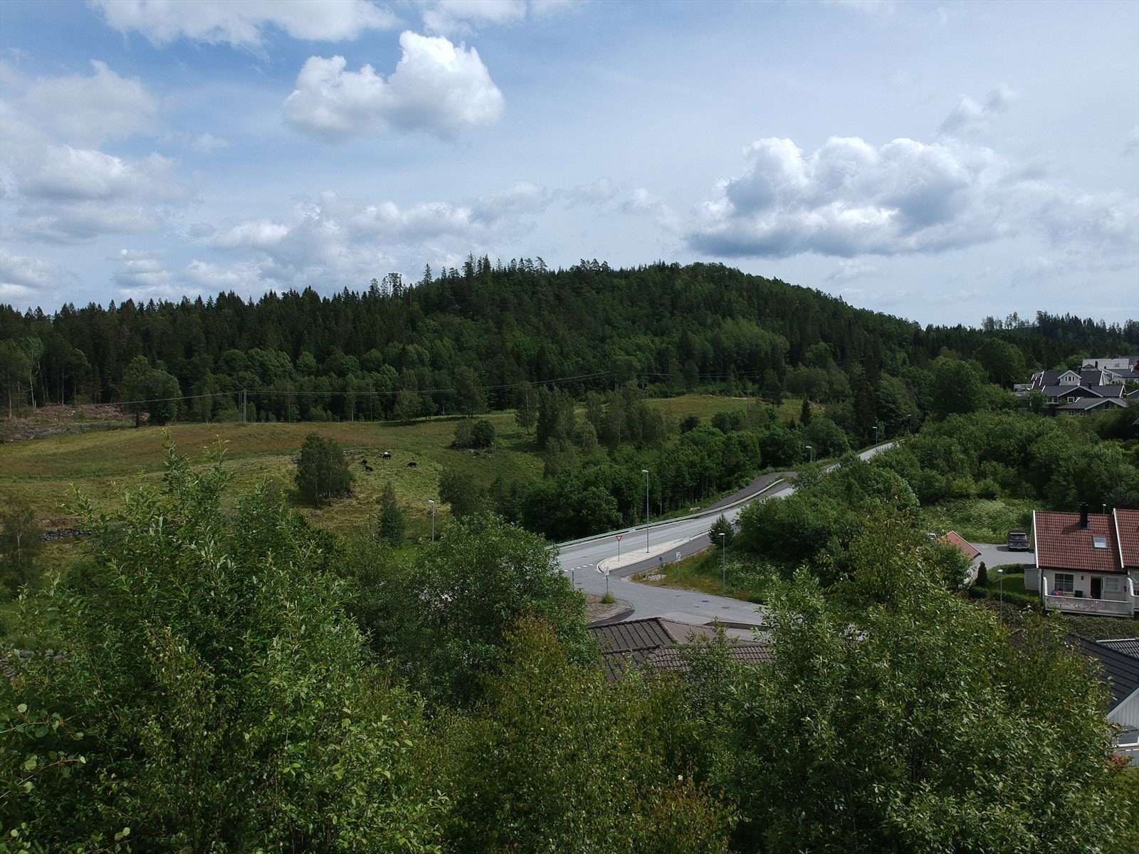 Mot sør-øst Galleribilde
