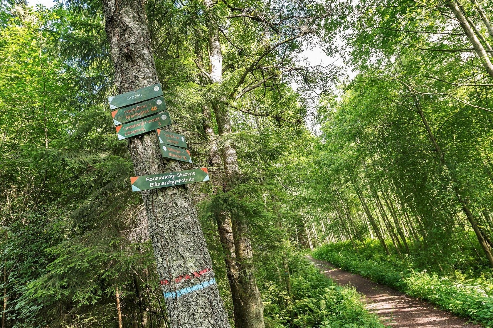 Østmarka byr på flere turstier og på vinterstid finner man preparerte skiløyper. Galleribilde