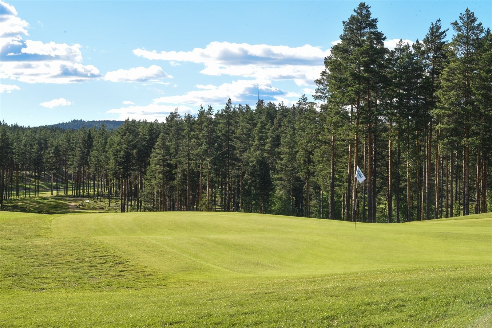 Kort vei til Liermoen golfbane Galleribilde