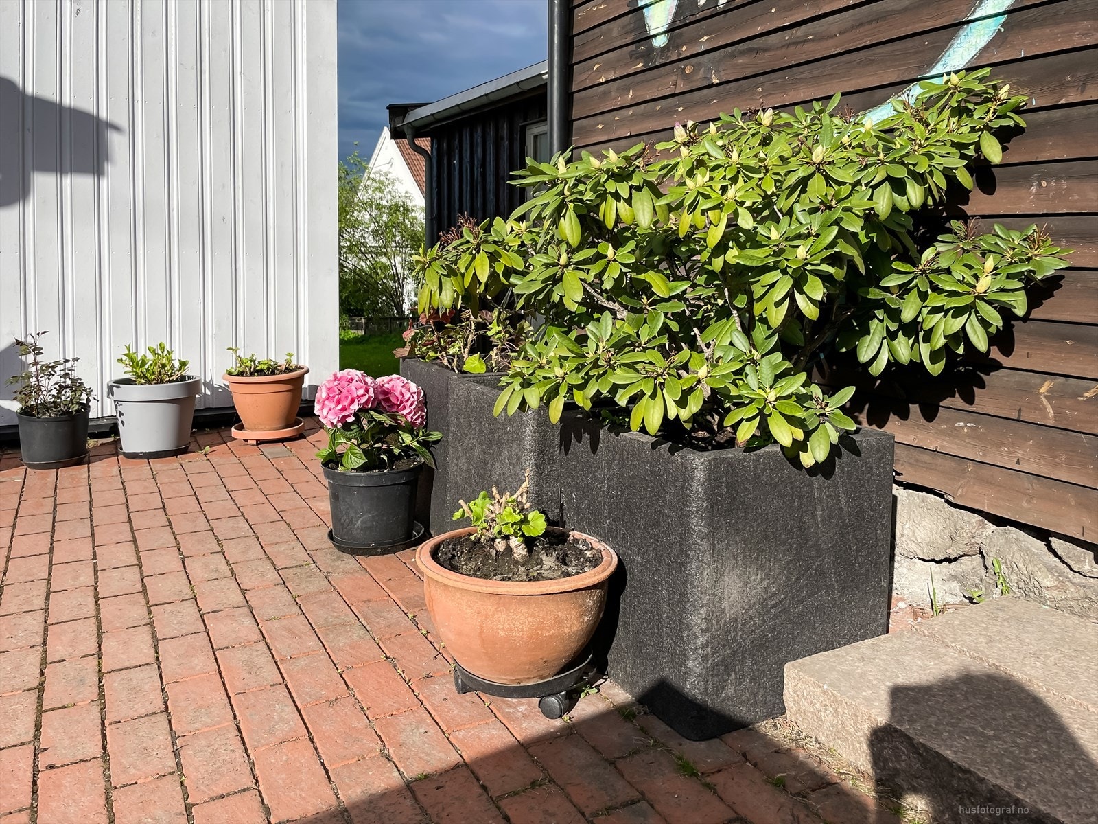 Uteområde Galleribilde