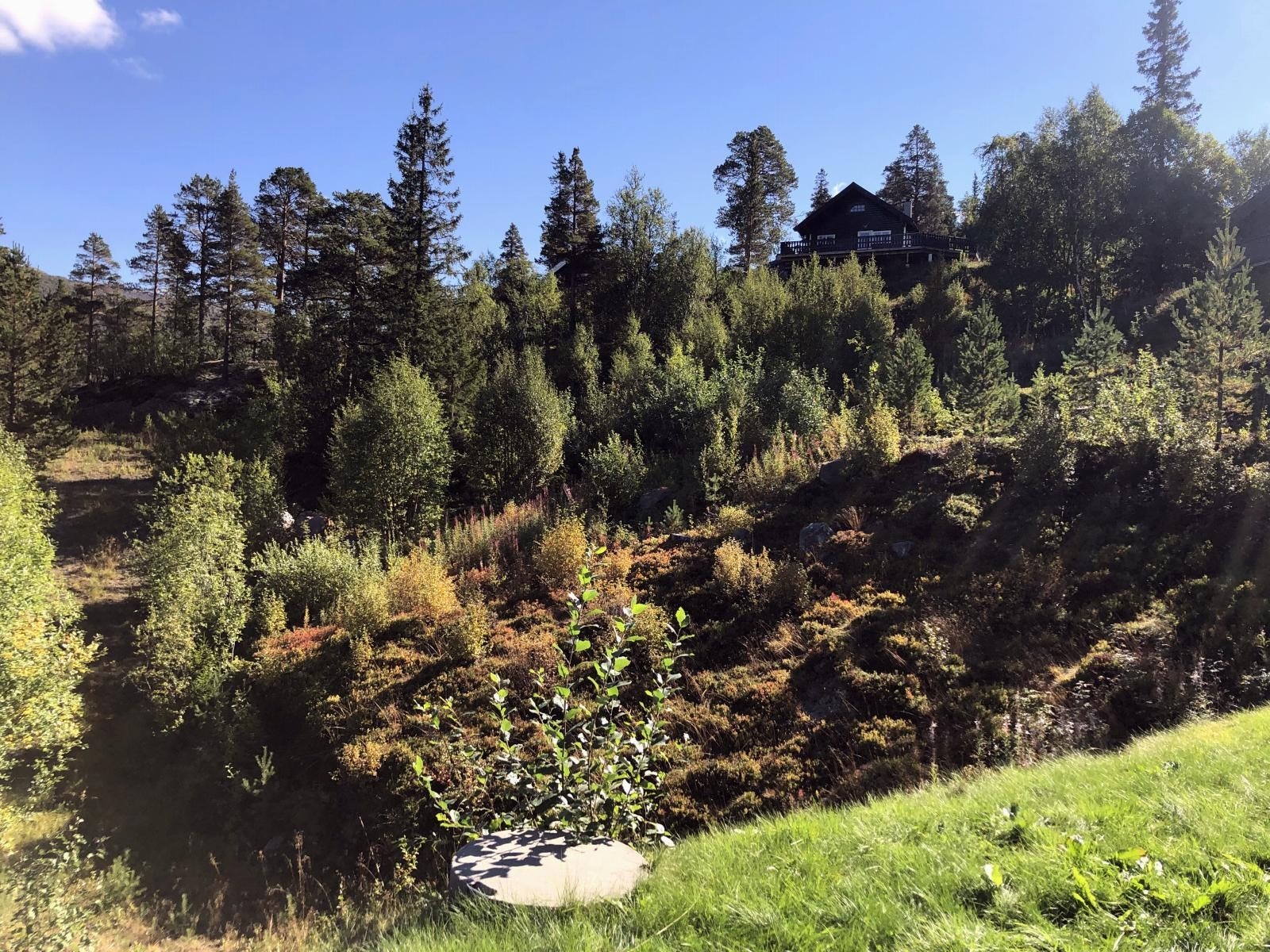 Tomten ligger meget godt plassert i enden av området. Noe som gir gode muligheter for privatliv. Galleribilde