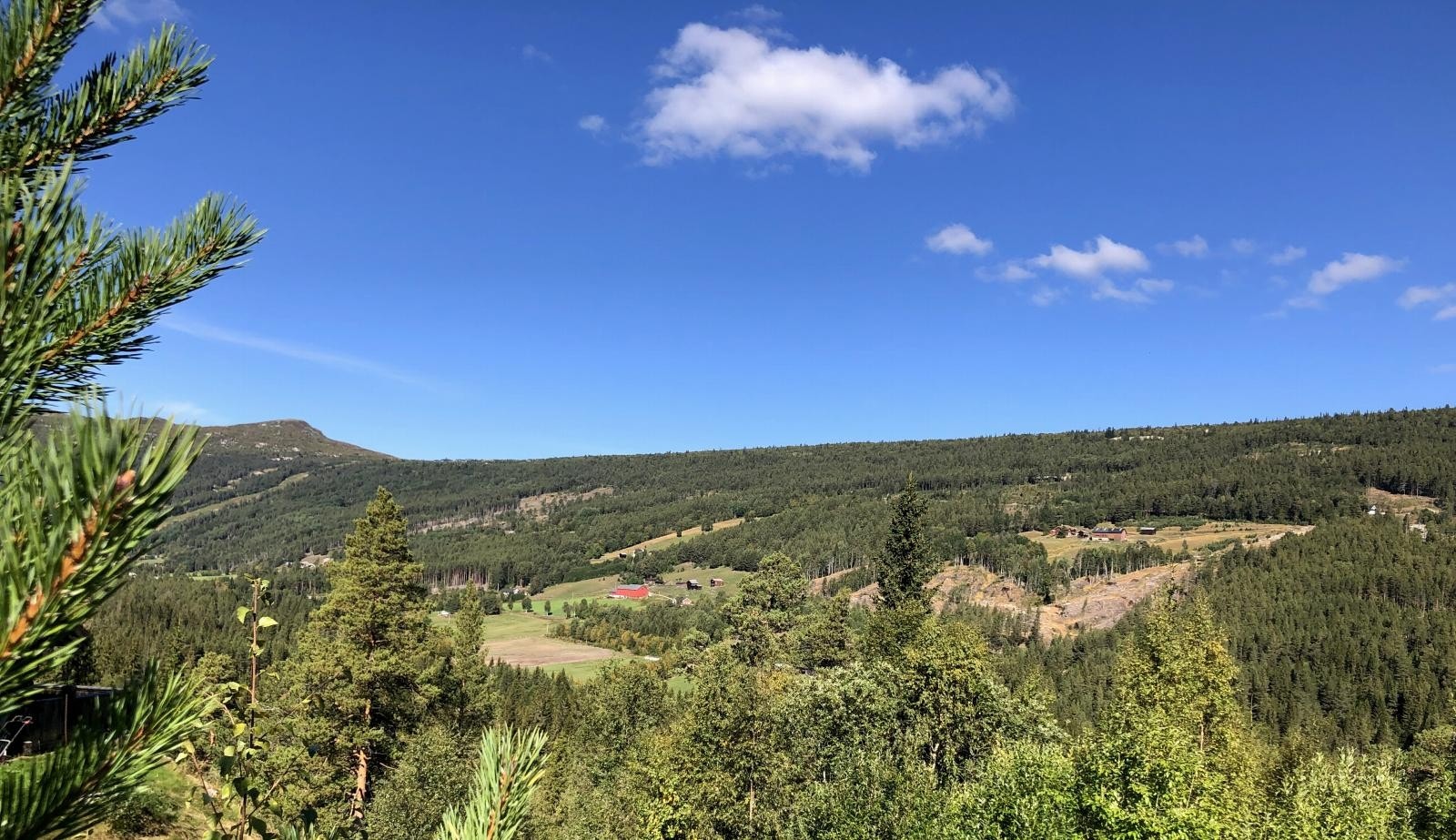 Vakker panoramautsikt over dalen Galleribilde