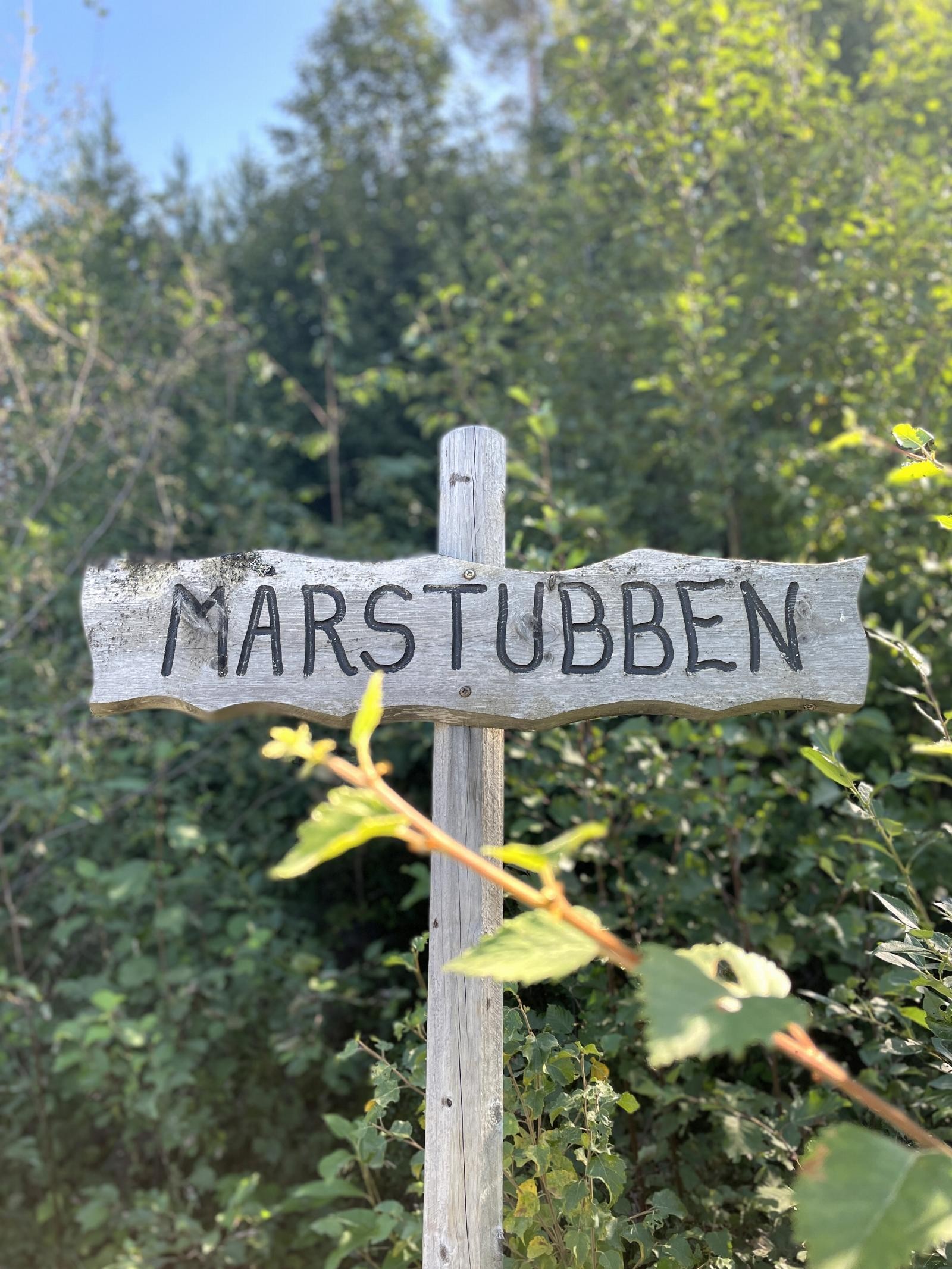 Velkommen til Mårstubben. Uvdals hyggeligste hytteområde med under 1 min til heisen og bakken Galleribilde