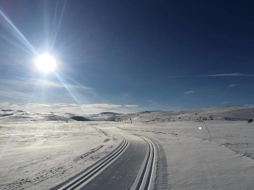 Flotte skiløyper i område. Galleribilde