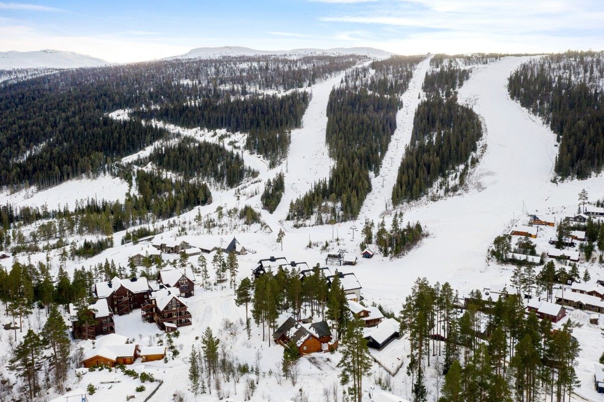 Område. Galleribilde