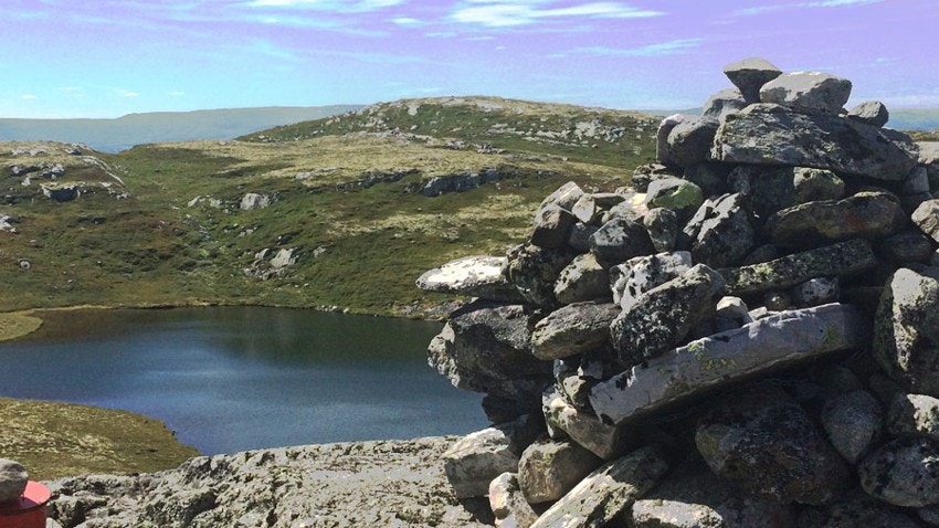 stornatten-banner Galleribilde