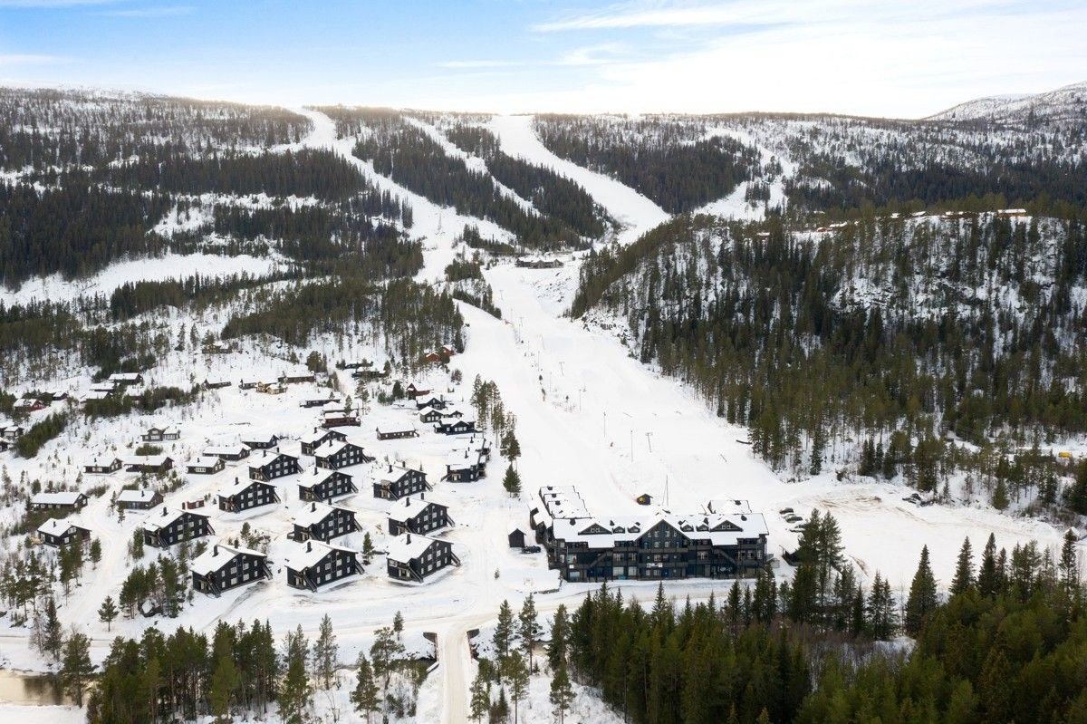 Område Galleribilde