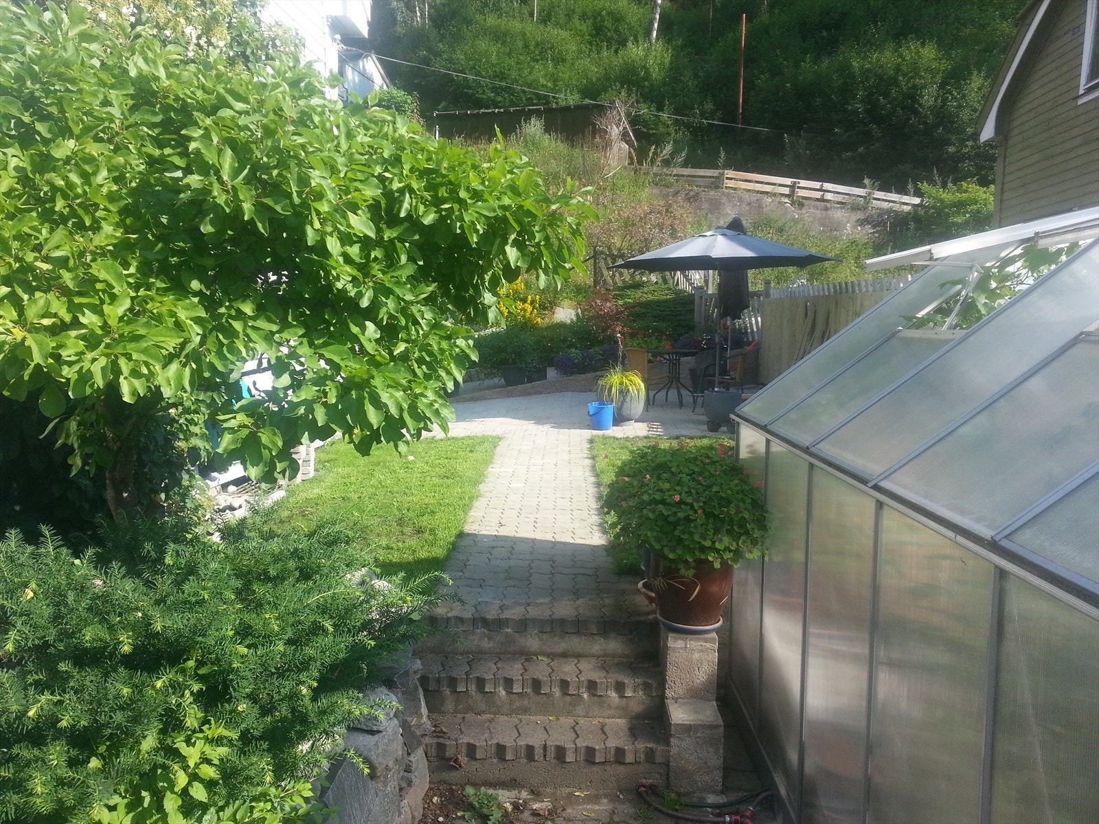 - Selgers egne bilder - Galleribilde
