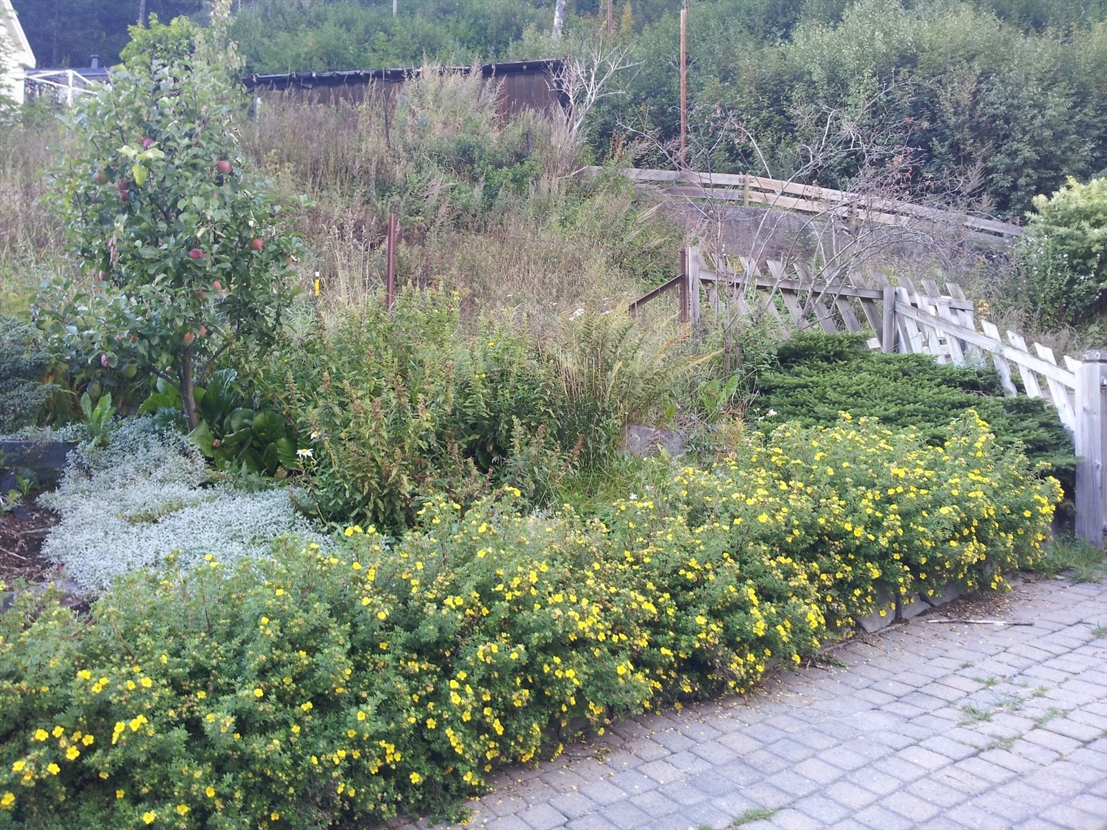 - Selgers egne bilder - Galleribilde