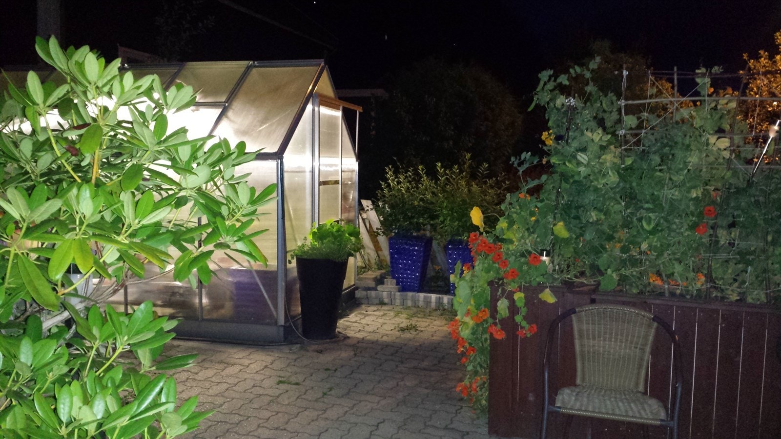 - Selgers egne bilder - Galleribilde