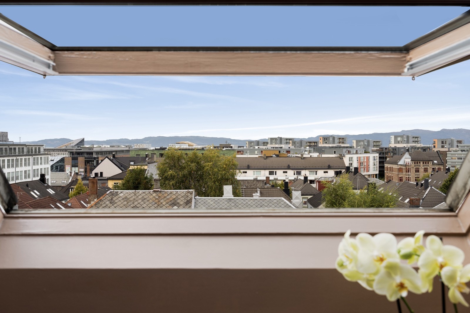 Fra leiligheten har du fin utsikt over Møllenberg. Galleribilde