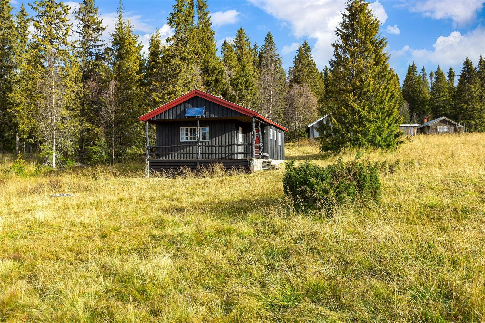 Her kan en gå turer i urørt terreng, plukke bær og sopp, sykle på fine stølsveier, og ta et bad i friske fjellvann. Galleribilde