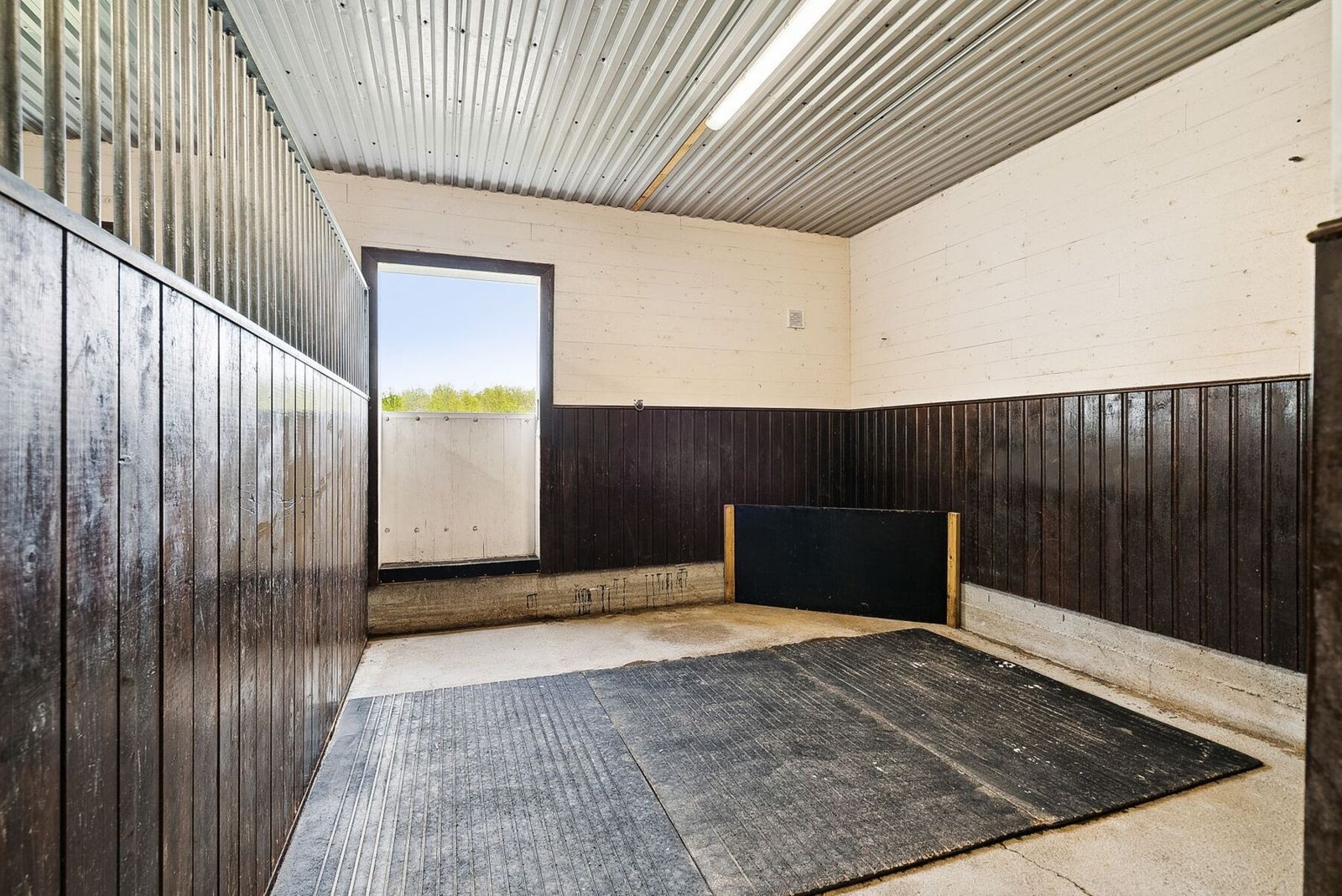 Egen utgang fra hver av hesteboksene. Galleribilde