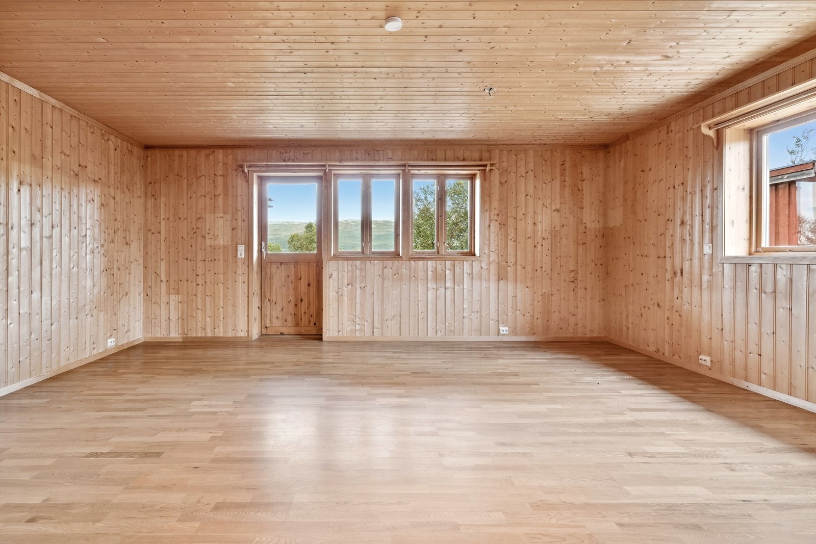 Stue Galleribilde