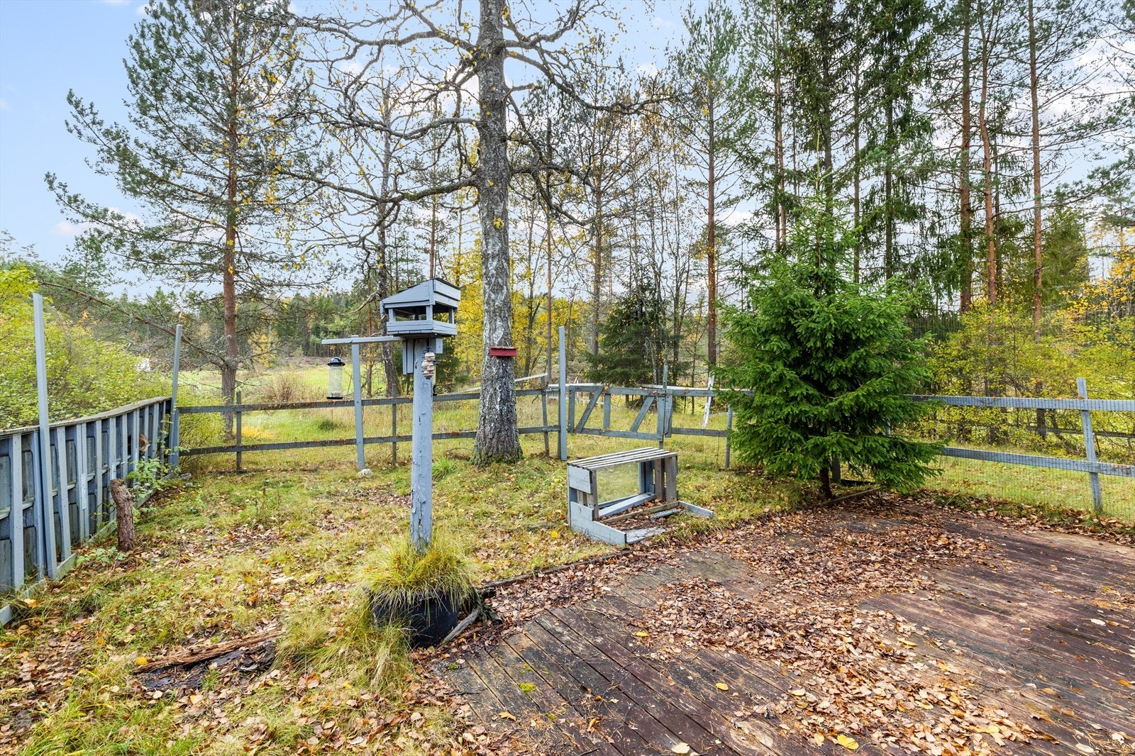 Inngjerdet område med hund / katt og et rikt fugleliv Galleribilde