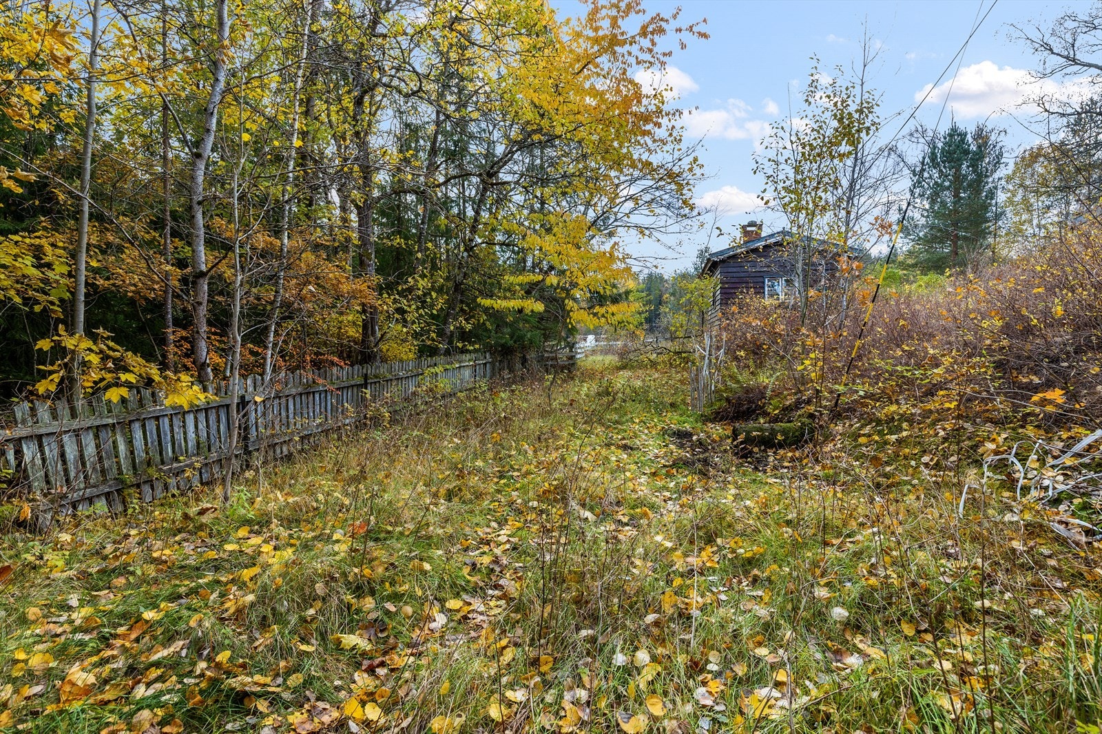 Gjennomgang for hester Galleribilde