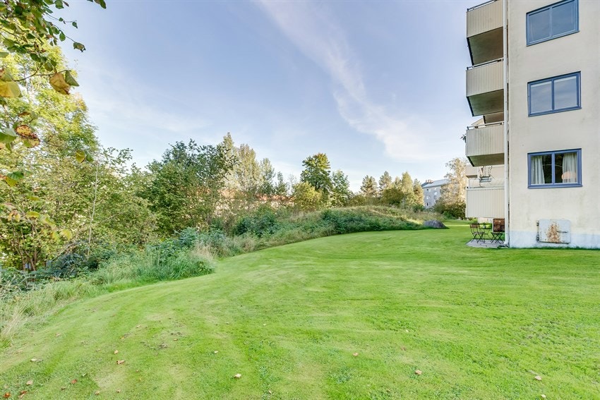 (Sommerbilde lånt fra tidligere salg) Galleribilde