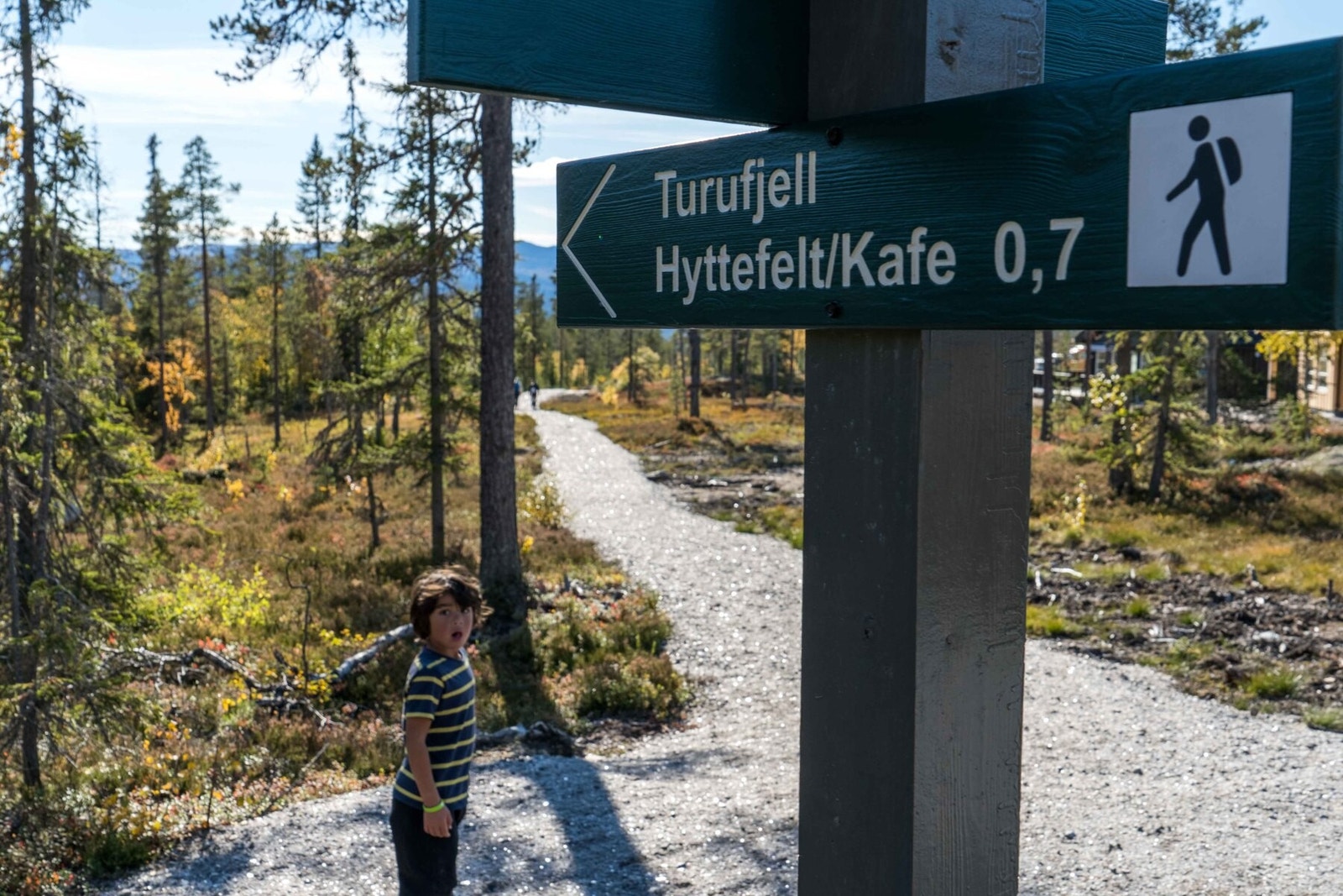 Flere flotte stier i området Galleribilde