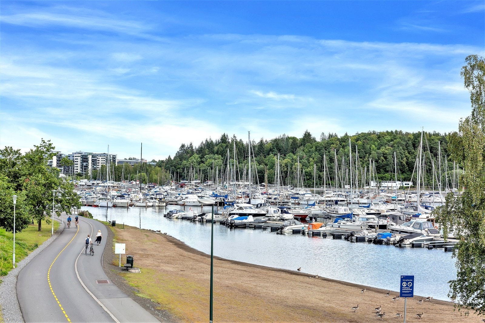 Sykkelvei langs Bestumkilen inn til Sentrum. Galleribilde