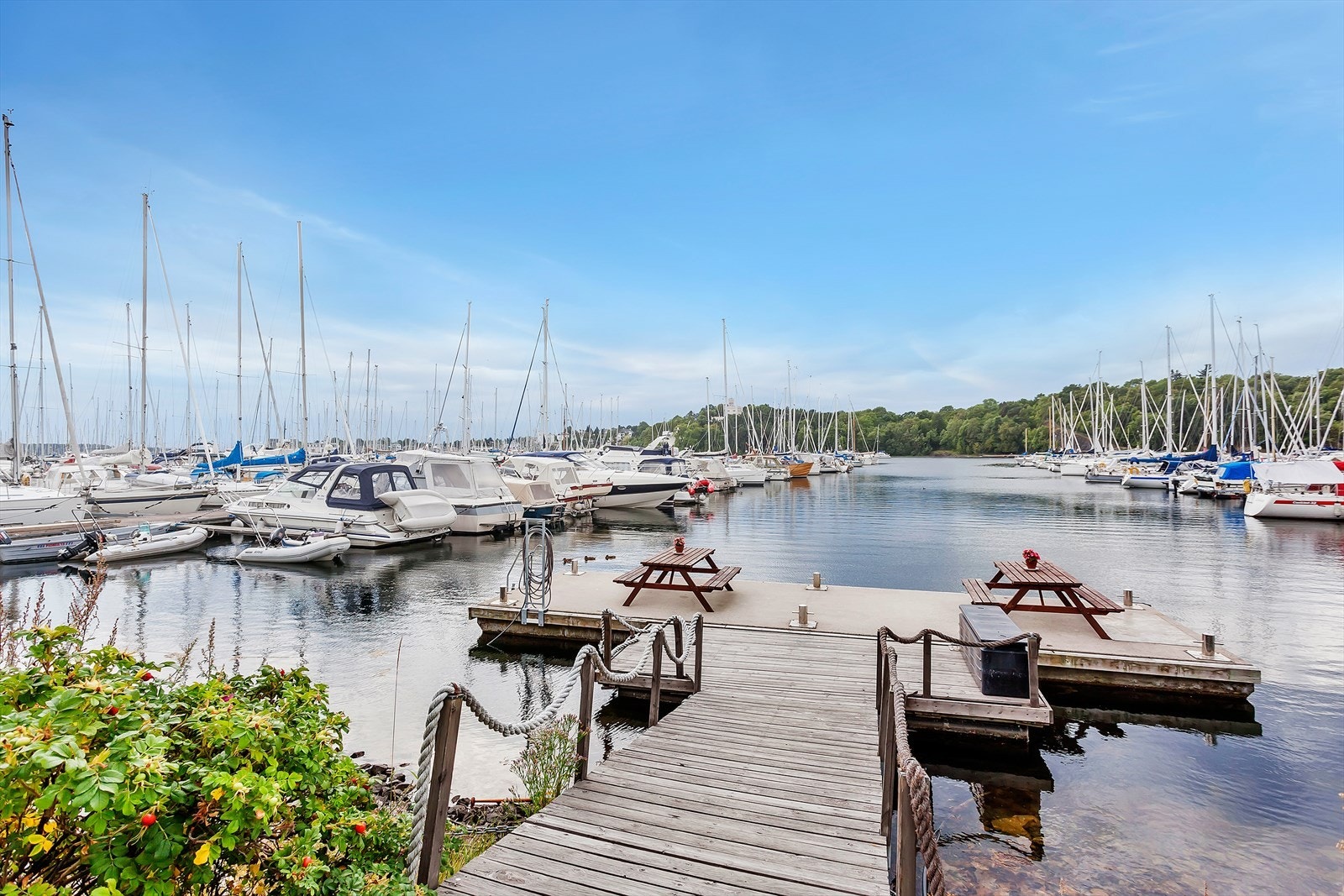 Gode turmuligheter langs havnepromenaden til bl.a. Bygdøy, Tjuvholmen, Akershus Festning og helt til Bjørvika Galleribilde