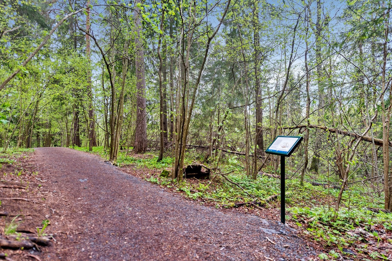 Turstier langs Lysakerelven Galleribilde