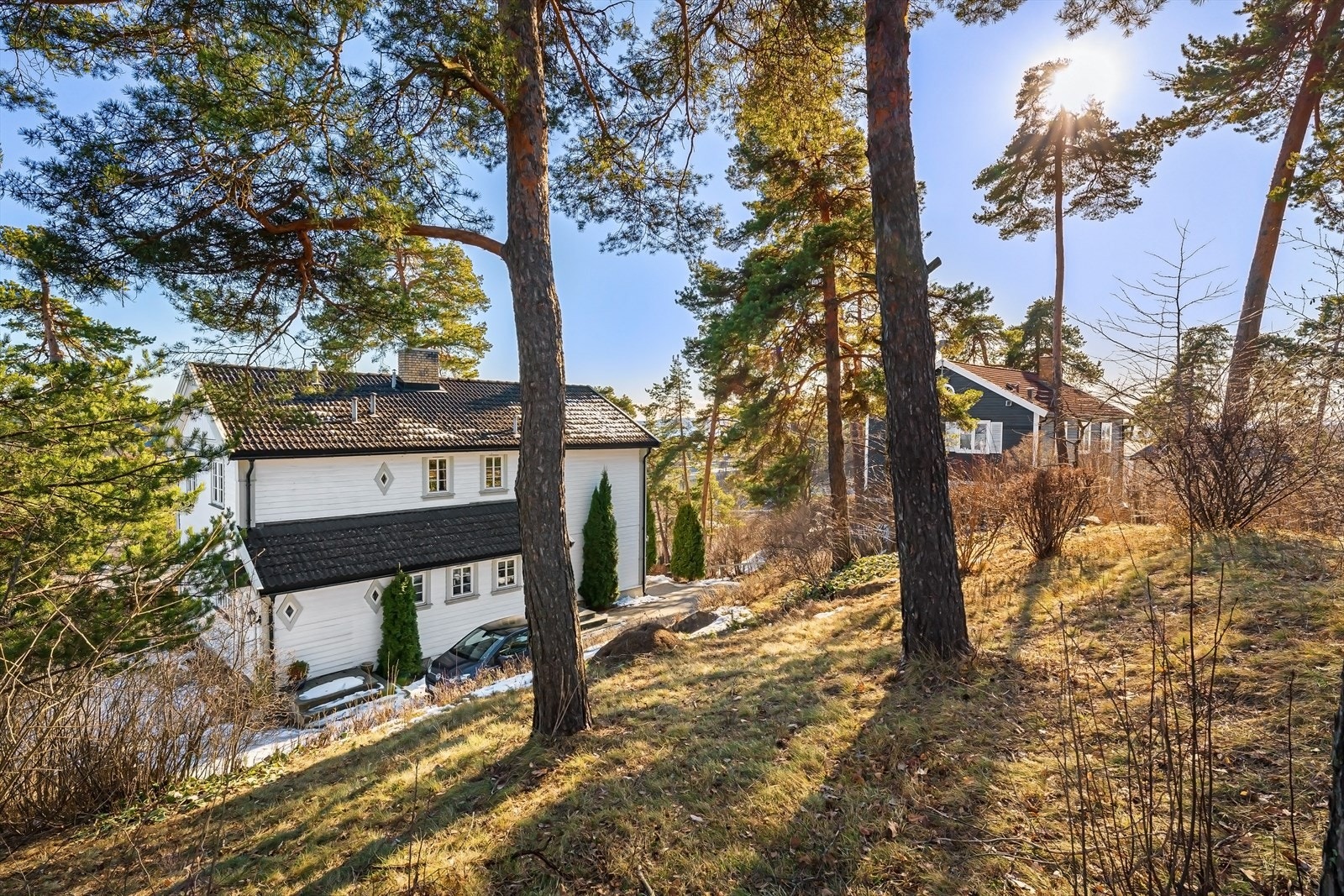 Romslig tomt Galleribilde