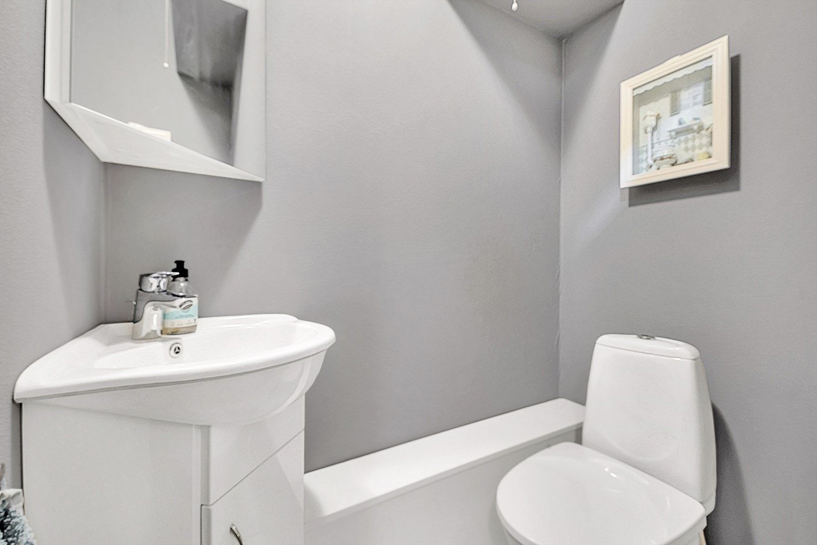 Separat WC med servant og klosett Galleribilde