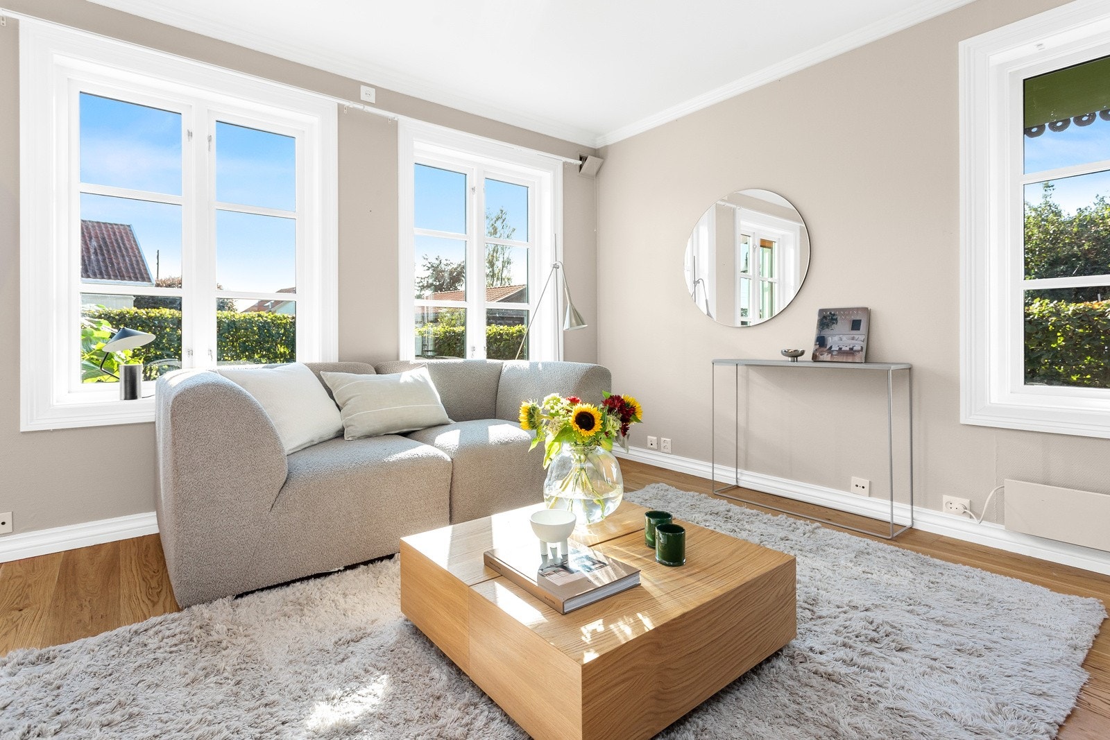 Mye naturlig lysinnslipp Galleribilde