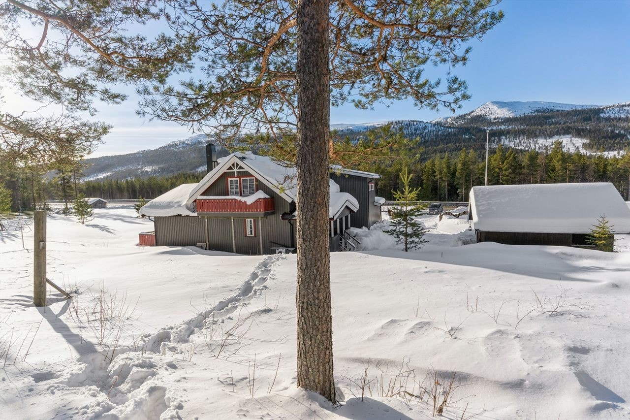 Solrik beliggenhet langs RV3 Galleribilde