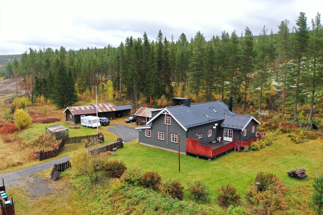 Velkommen til Nord-Østerdalsveien 2843! Galleribilde