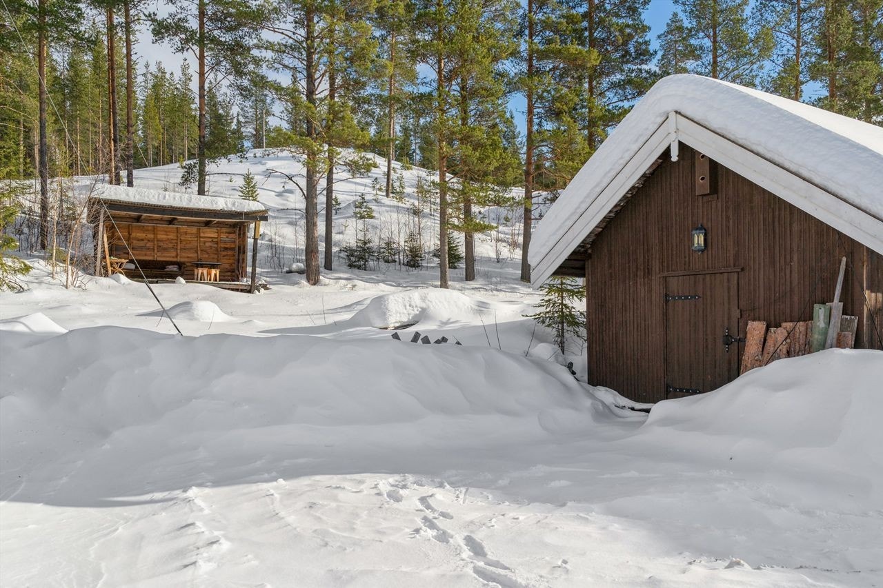 Koselig uteplass med gapahuk Galleribilde