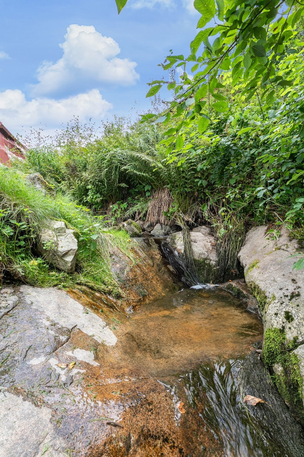 Sildrende bekk i tomtegrensen. Galleribilde
