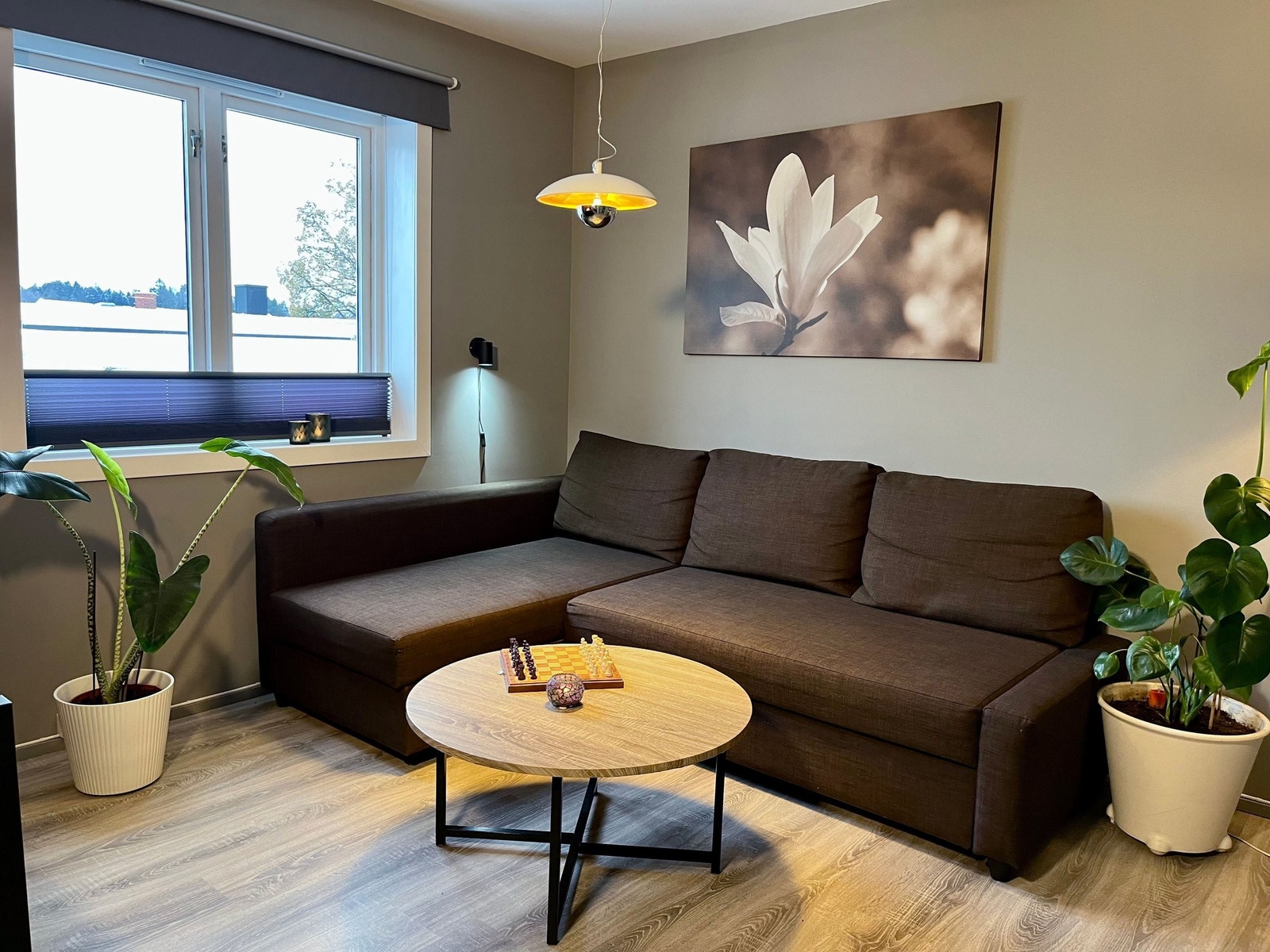 Kosekrok med leselys Galleribilde