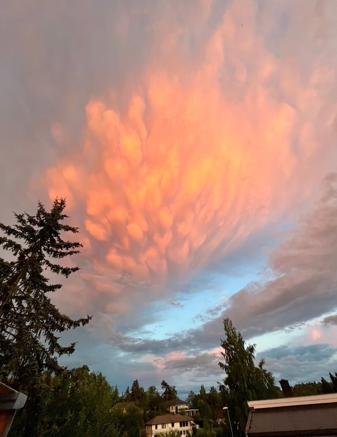 Bildet tatt fra balkongen Galleribilde