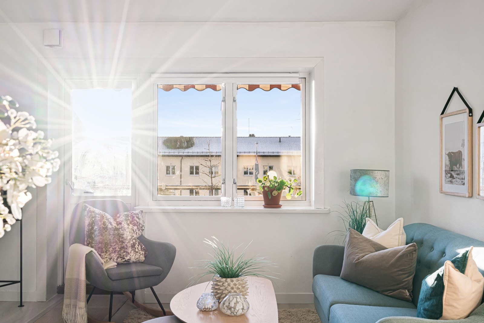 Her er det lett å trives! Galleribilde