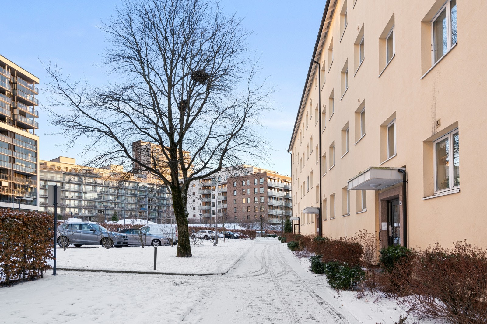 Velkommen til Storo borettslag. Galleribilde