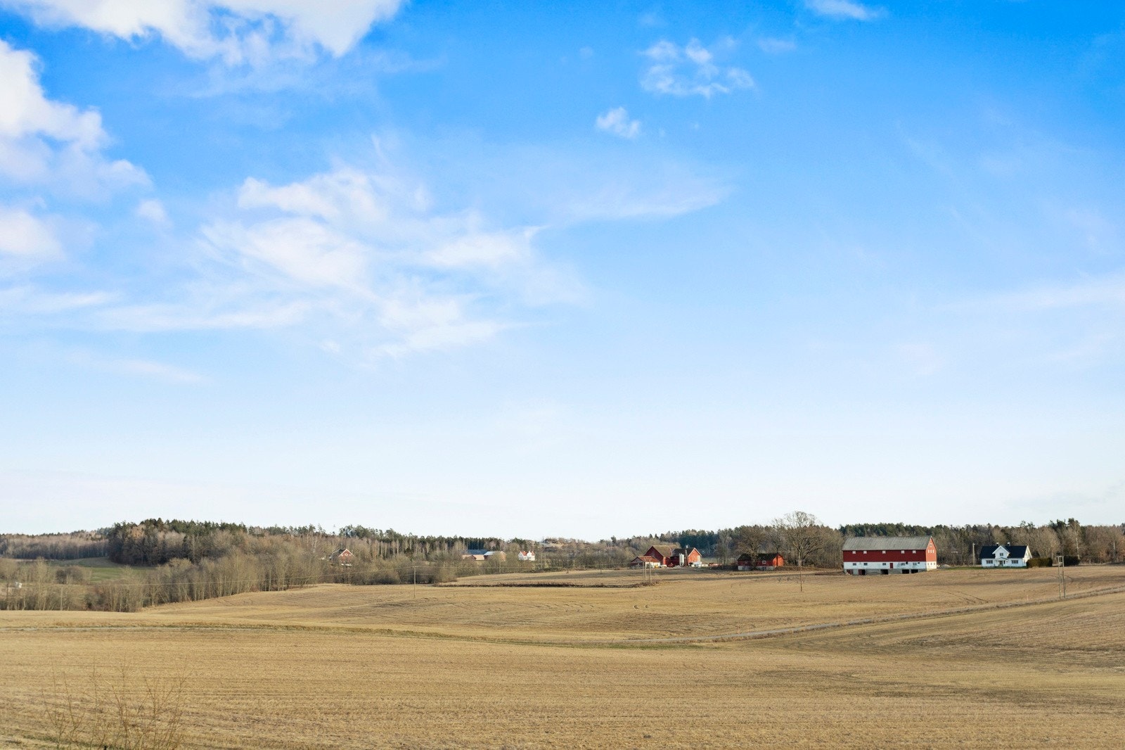 Utsikt fra terrassen Galleribilde