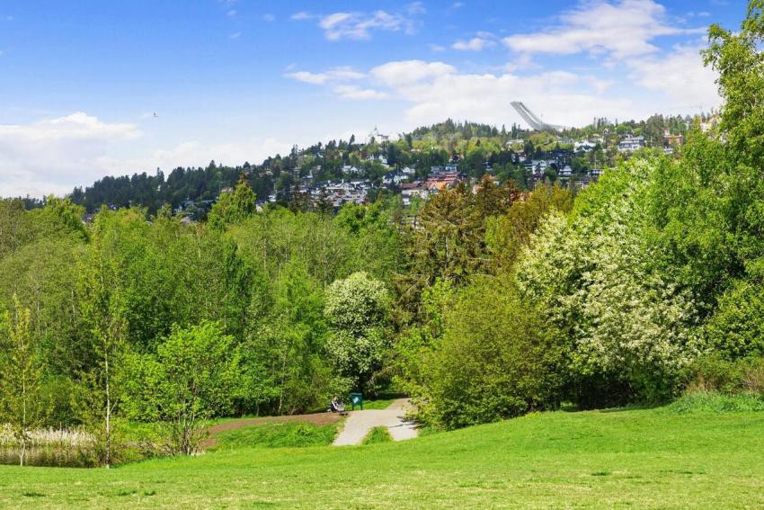 Rett utenfor døren har man flere tur- og rekreasjonsområder som bl.a. Nordmarka med flotte turterreng, friluftsliv, lysløype m.m. Galleribilde