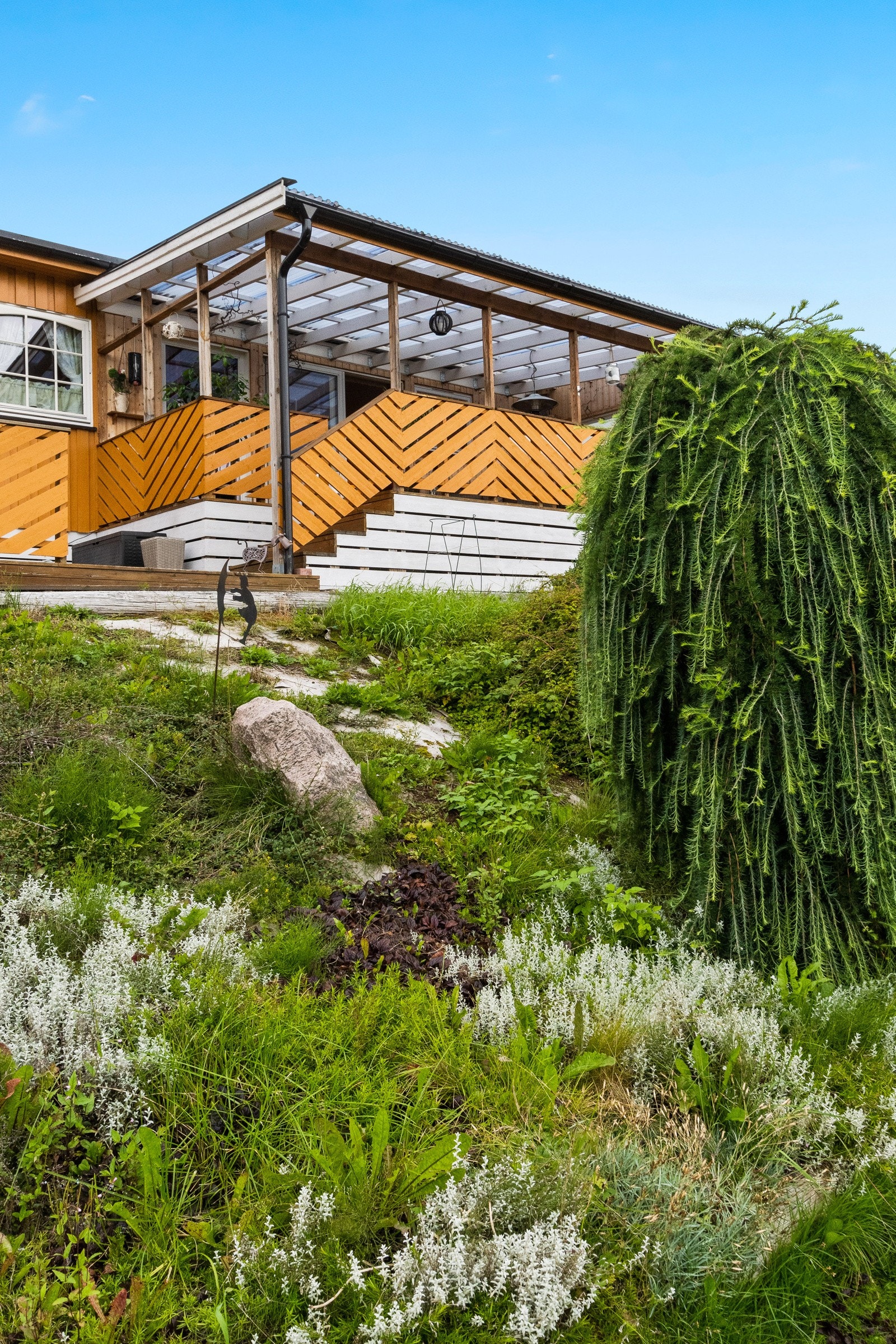 Fin plass med flotte planter i hagen Galleribilde