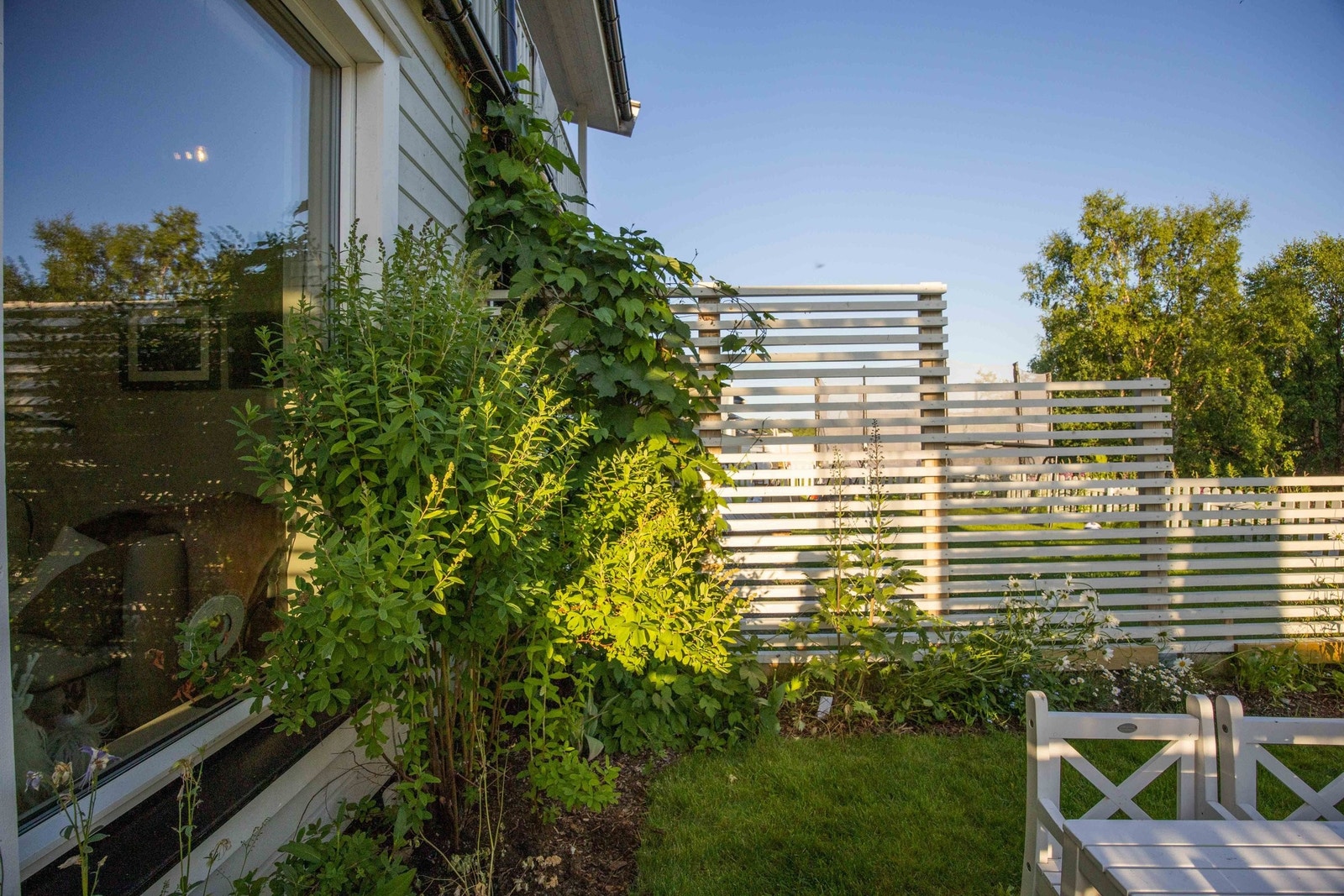 Boligen har gjerde og levegg mot nabo. Galleribilde