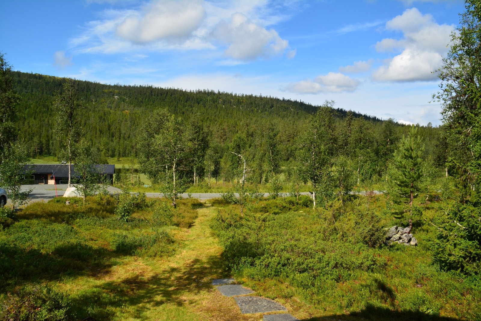 Utsikt front. Mot vest Galleribilde