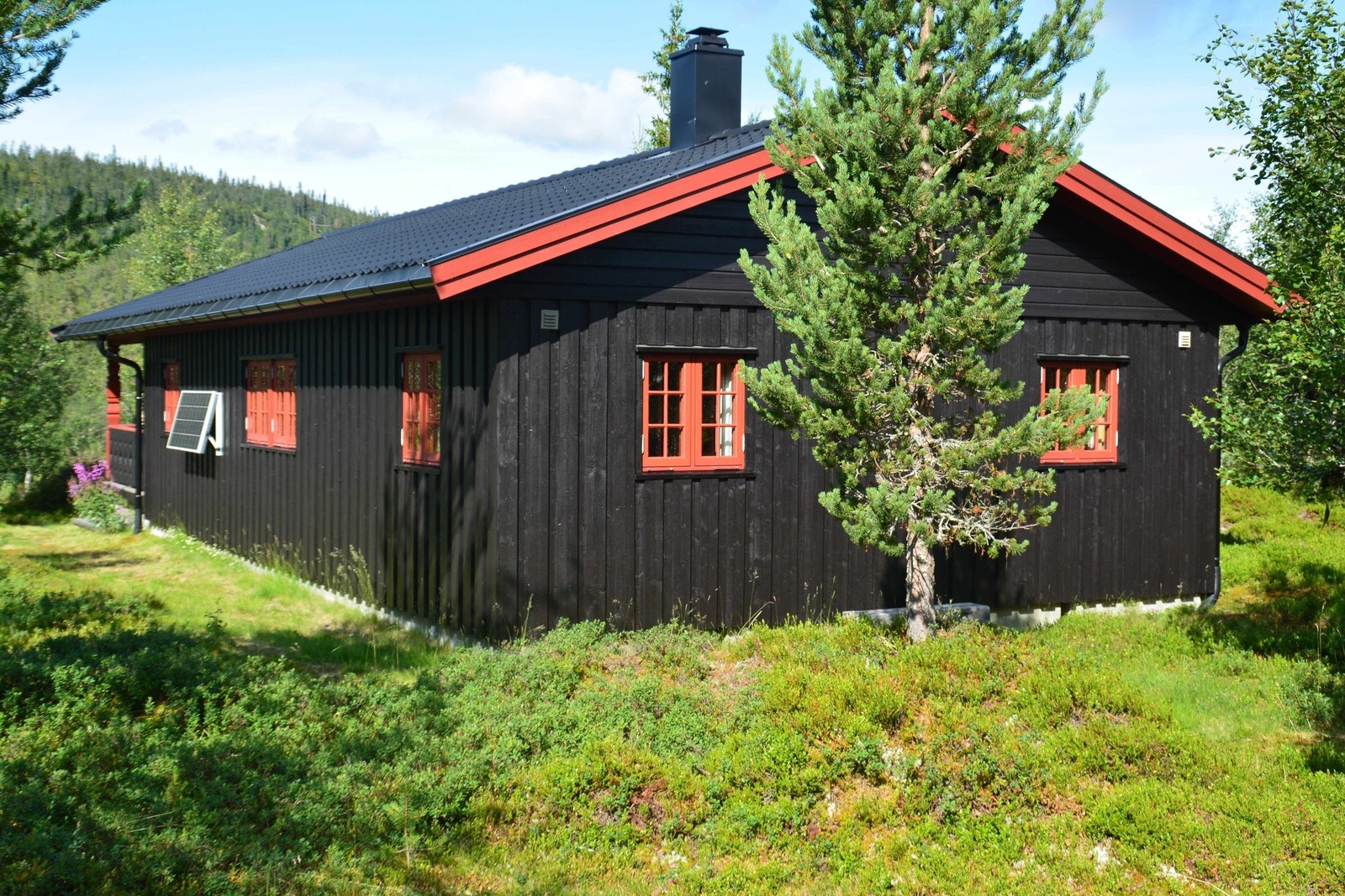 Mot nordvest. Galleribilde