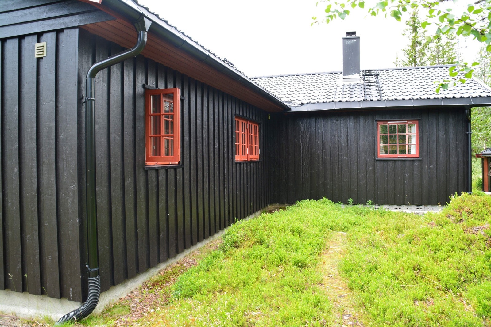 Nordsiden. Galleribilde